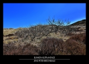 bunken001